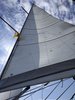 IMG_20190808_162930