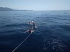 IMG_20190809_112923