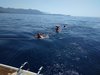 IMG_20190809_112943