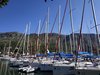 IMG_20190804_083720