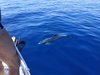 IMG_20190806_160855