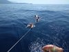 IMG_20190809_112905