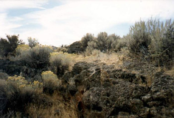 LavaBeds.jpg (34692 bytes)