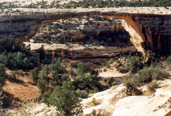 NatBridge1.jpg (62263 bytes)