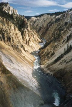 Yell-Canyon2.jpg (37728 bytes)
