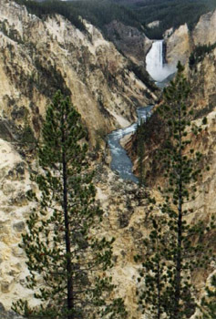 Yell-Canyon3.jpg (50805 bytes)