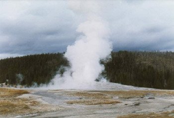 Yell-OldFaif.jpg (23595 bytes)