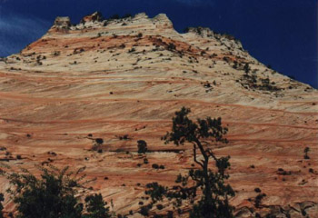 Zion1.jpg (38493 bytes)