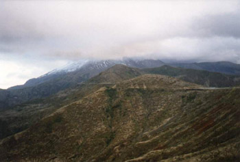 helena2.jpg (24410 bytes)