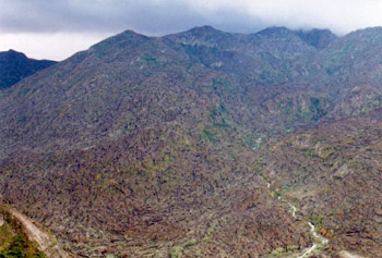 helena3.jpg (40169 bytes)